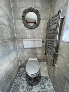 a bathroom with a toilet and a mirror at The Shack - Thatched Self Contained Annex in Collingbourne Ducis