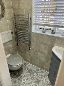 a bathroom with a toilet and a sink at The Shack - Thatched Self Contained Annex in Collingbourne Ducis