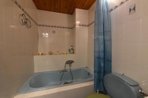 a bathroom with a blue tub and a toilet at Jeannet's Beach House in Amarynthos +20 photos