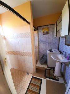 a small bathroom with a sink and a shower at Fina Villa Apartments - Mont choisy in Mont Choisy