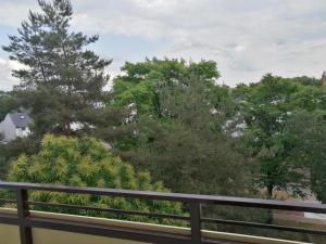 a view of trees from a balcony at Fat Kaz Apartment in Wrocław