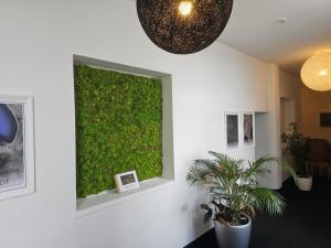 una pared verde en una habitación con plantas en Best Boarding House, en Hanau am Main
