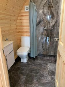 a bathroom with a toilet and a shower at Pond View Pod 2 with Private Hot Tub -Pet Friendly- Fife - Loch Leven - Lomond Hills in Kelty