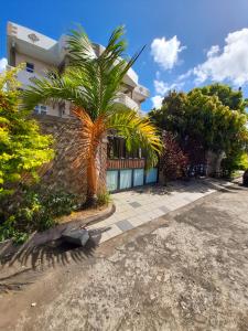 a palm tree in front of a house at Fina Villa Apartments - Mont choisy in Mont Choisy