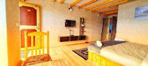 a bedroom with a bed and a tv in it at Mystic Pangong in Spangmik