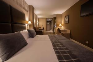 Hotel Himàlaia Soldeu客房内的一张或多张床位