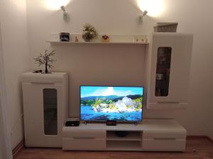 a flat screen tv sitting on a white entertainment center at Ispod duge in Dobroselica