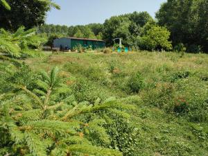 un campo de hierba con un edificio en el fondo en Gîte insolite La Renouée en Saumur