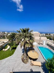 a villa with a palm tree and a swimming pool at Santorini Villatzio Suites in Mesaria