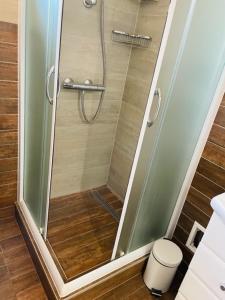 a shower with a glass door in a bathroom at Rab,new Apartman in Rab