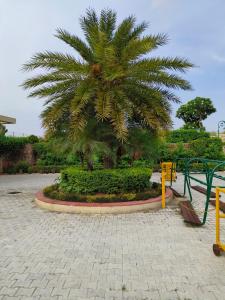 a palm tree in a park with a bench at BLOSSOM Studio in Manesar
