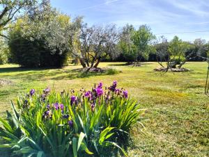 een tuin met paarse bloemen in een veld bij Petit Mazet Fruits rouges in Eyragues