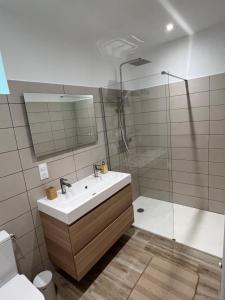 a bathroom with a sink and a shower at Superbe gîte à la campagne avec grand jardin et spa privé in Vernet-le-Bas