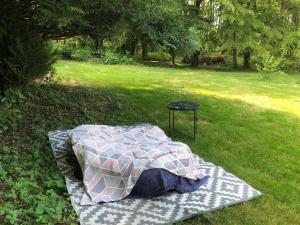 una manta sobre la hierba junto a una mesa en Maison de détente avec spa, hamacs, Ping pong, 