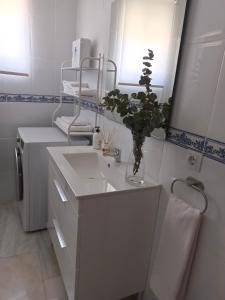 a bathroom with a sink and a vase with a plant at APARTAMENTOS MATUTE in Almodóvar del Río