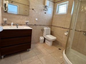 a bathroom with a toilet and a sink and a shower at Apartments & Rooms Elite in Dobra Voda