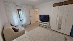a living room with a couch and a television at Apartma Rižana in Dekani