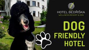 Certifikát, hodnocení, plakát nebo jiný dokument vystavený v ubytování Hotel Bedriska Wellness Resort & Spa