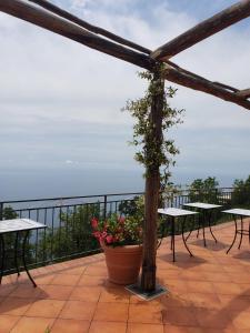 a patio with tables and a plant in a pot at Villa Pino in Furore