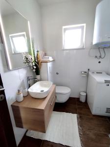 La salle de bains est pourvue d'un lavabo, de toilettes et de 2 fenêtres. dans l'établissement Apartments Iris, à Vir