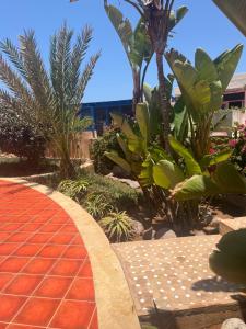 un jardin avec des palmiers et une passerelle en briques dans l'établissement Mimid Dunes Beach, à Mirleft