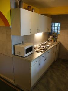 een keuken met een magnetron op een aanrecht bij Blumauer Apartments in Ljubljana