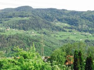 Príroda v okolí v penzióne/hostinci