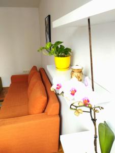 a living room with a couch and a plant at Apartman Amigo-Free public parking in Sarajevo