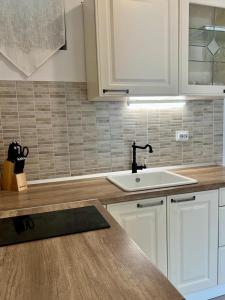 a kitchen with a sink and a counter top at Apartments Juric in Mimice