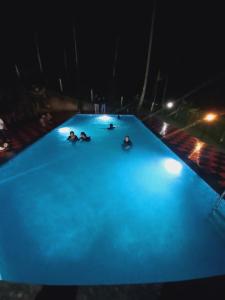 Bazén v ubytování Elora Resort Wayanad nebo v jeho okolí