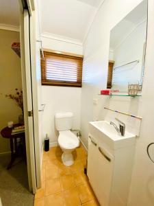 een badkamer met een toilet en een wastafel bij The Kabbage in Berridale