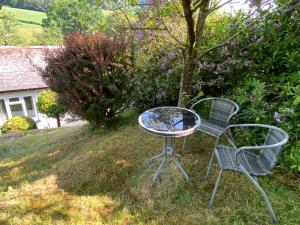 einen Tisch und zwei Stühle im Gras in der Unterkunft Treetops in Welshpool