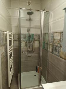 a shower with a glass door in a bathroom at IZZY'S HIDDEN APARTMENT in Braşov