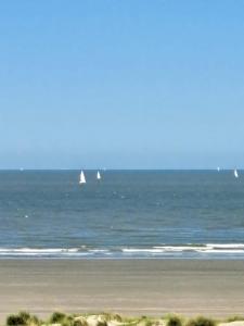 Naturlandskabet i nærheden af lejligheden