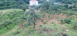 Paesaggio naturale nelle vicinanze dell'appartamento