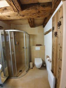 a bathroom with a shower and a toilet at Au Château in Lajoux