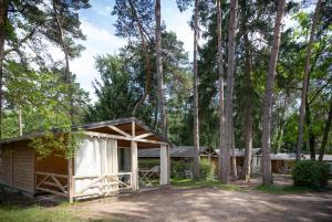 Camping La Pinède外面的花园