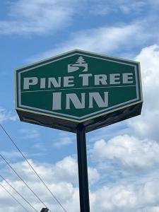 a green pine tree inn sign on a pole at Pinetree Inn in Parsons