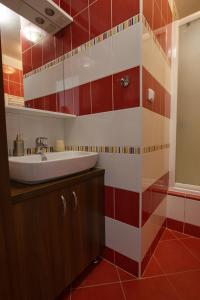 a bathroom with a sink and red and white tiles at Apartmán u Klínovce in Kovářská