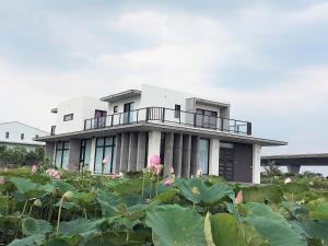 礁渓郷にあるXian Jing B&Bの目の前に植物がたくさんある家