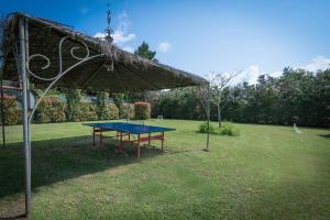 een pingpongtafel met een parasol in een tuin bij Mulino Al Suono in Badia Agnano