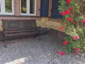 Zahrada ubytování Apartment in Villa Rochlitz