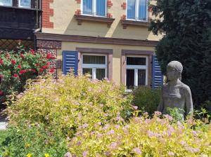 Zahrada ubytování Apartment in Villa Rochlitz