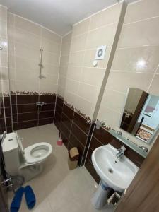 a bathroom with a toilet and a sink at Talipoğlu Apart in Uzungol