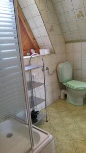 a bathroom with a green toilet and a shower at LESNA CHATA in Zagórnik
