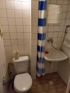 a small bathroom with a toilet and a sink at Penzión Tina in Prešov