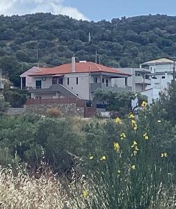 a group of houses on a hill with a field of flowers at MARMARI apartments in Ayía Marína