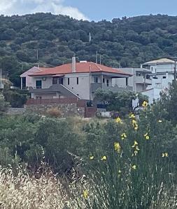 Fotografie z fotogalerie ubytování MARMARI apartments v destinaci Ayía Marína