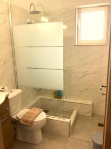 a bathroom with a toilet and a glass shower at MARMARI apartments in Ayía Marína