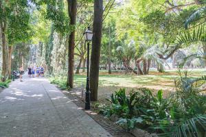 Vonkajšia záhrada v ubytovaní Marbella center Casals